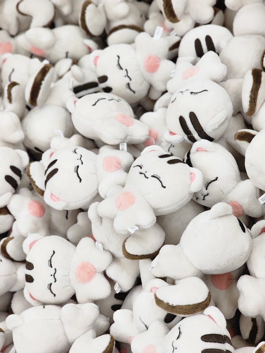 슈람지가 한국에 도착했습니다!
주말동안 열심히 검수/포장하겠습니다🧡
조금만 기다려주세요!