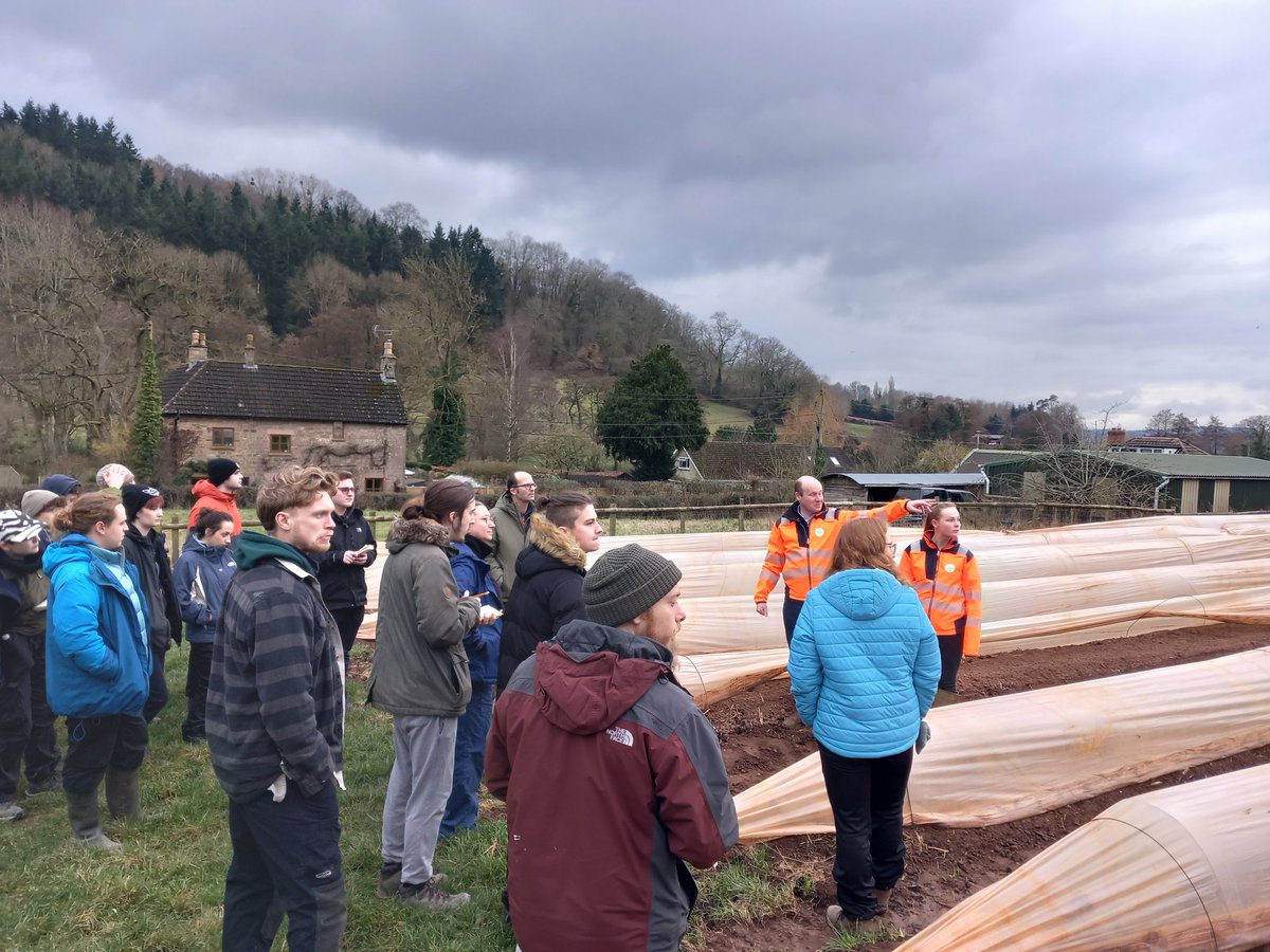 PrysorWilliams's tweet photo. Ymweliad hynod ddiddorol ddoe.
Fascinating trip for @BUEnvironment students to @CobreyFarms. Large-scale production of fruit &amp; veg crops whilst protecting soil &amp; water. Great discussion on food security and environmental challenges of now and the future! https://t.co/hCSreyOoBD