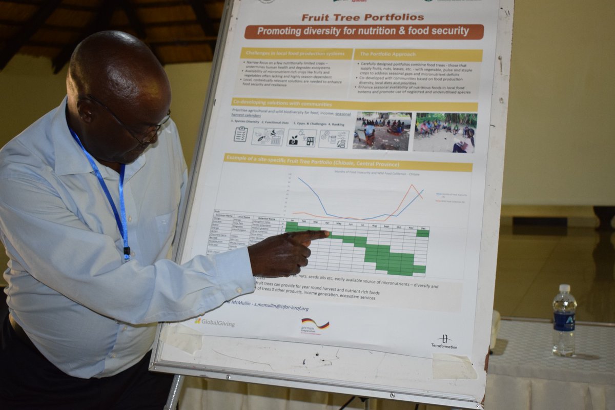 Most attendees r transformed poachers speaking Chewa &amp; Bemba. But everyone "gets" fruit tree portfolios: 10-12 tree species per home 2 ensure 1 tree is fruiting every month, providing year round micronutrients like Vit C, A &amp; iron that r🔑 4 health <a href="/GoodEnergies/">Good Energies Foundation</a> <a href="/JochenFlasbarth/">Jochen Flasbarth</a>