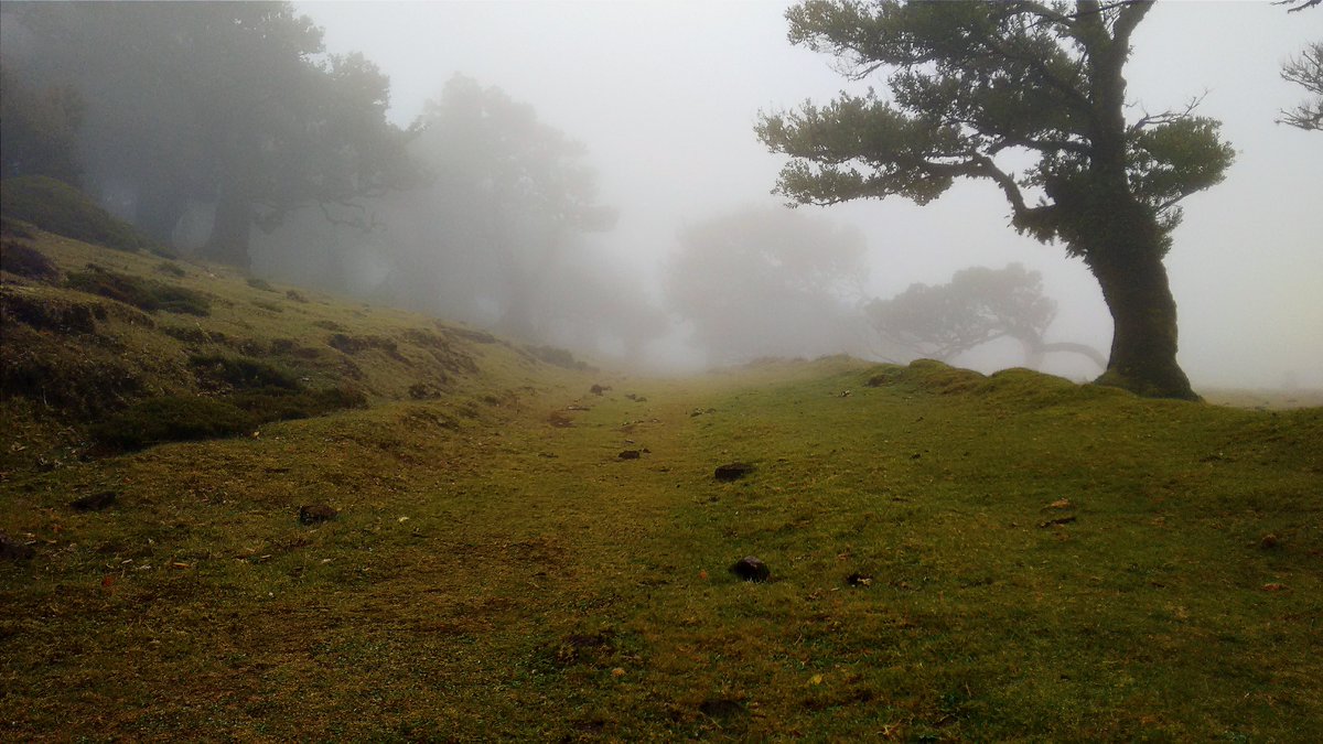SueC_WordLoft's tweet image. A lie, an accident, and a strange encounter on the moors filled Jake and Mitchell with uncertainty.
Find out how they coped in my seven-minute-read short story.
wordloft.co.uk/themes/short-s…
#readreadread #shortstory #fiction #moors #mist #mystery #writing #coffeebreak #teabreak