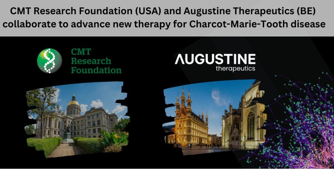 ECMTF European CMT Federation tweet media