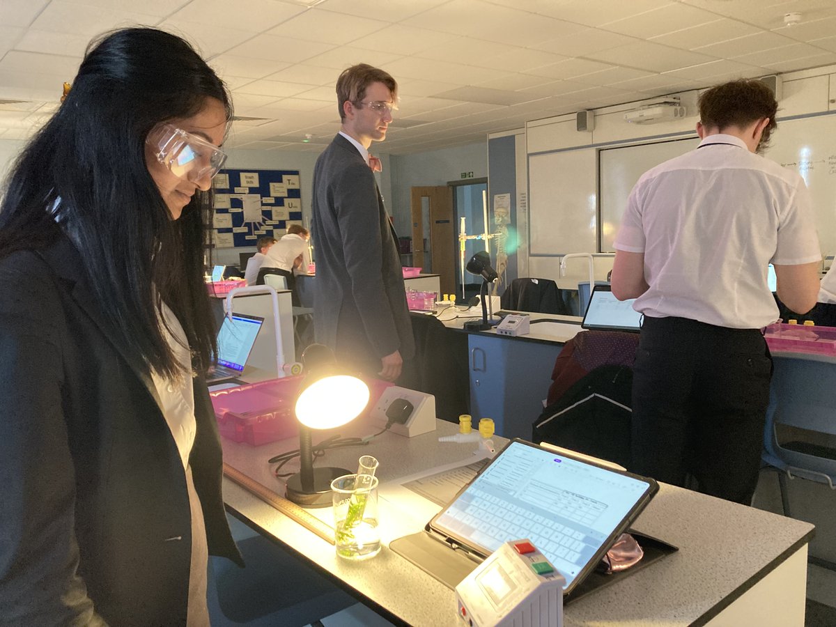 SASHerts's tweet image. Students investigated the rate of oxygen production in pond weed to determine the effect of various abiotic factors on the rate of photosynthesis. They researched &amp;amp; planned their own methods, equipment &amp;amp; set up independently. #practical #ocrscience #plantscience #ALevelscience