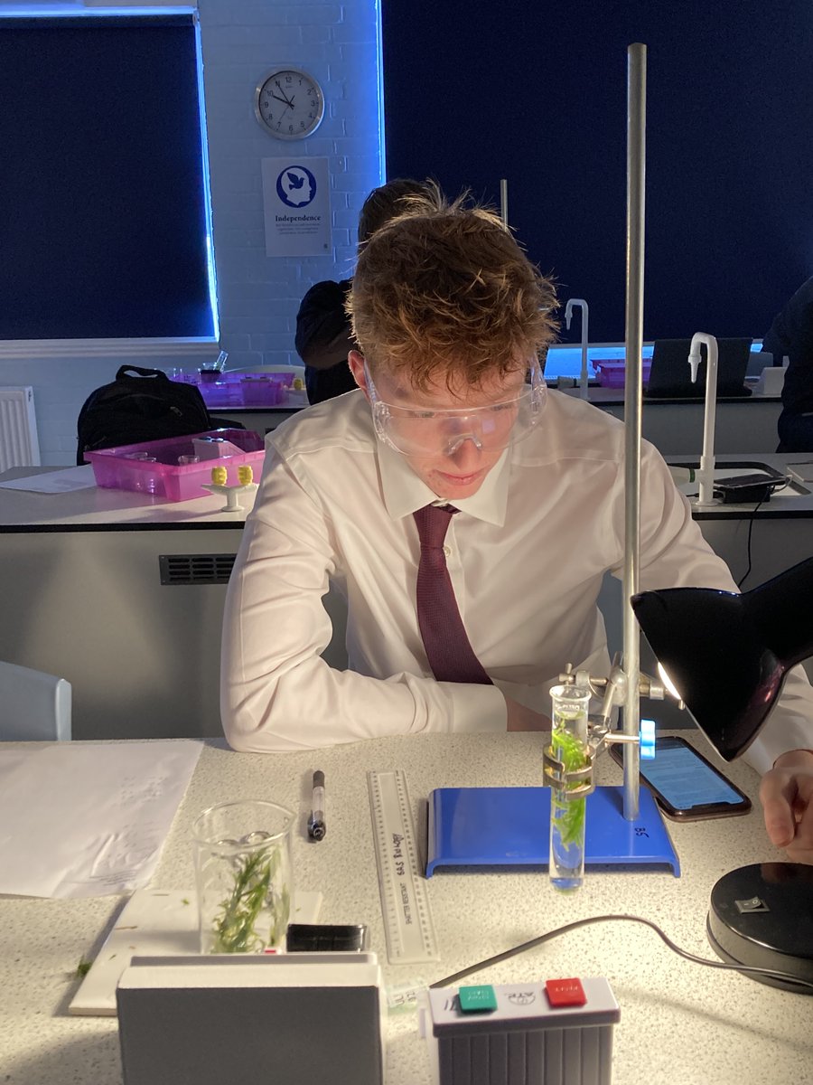 Students investigated the rate of oxygen production in pond weed to determine the effect of various abiotic factors on the rate of photosynthesis. They researched & planned their own methods, equipment & set up independently. #practical #ocrscience #plantscience #ALevelscience