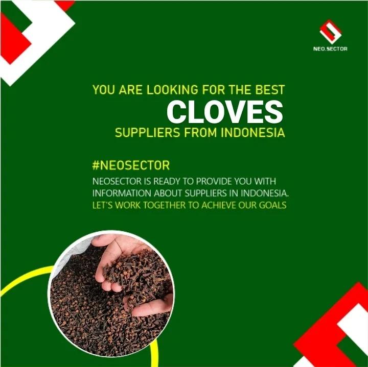 neo_sector's tweet image. Our Indonesian Cloves supplier provides sustainably sourced, high-quality Cloves for all your industrial needs. Trust us for the best ingredients and responsible sourcing. #ClovesSupplier #SustainableSource #neosector #cloves #indonesiansupplier  #SustainableSupplier #spices