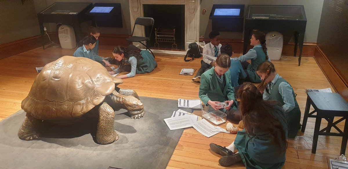 Our Preps had a fantastic trip to the Natural History Museum recently 🦓🦁🦅 @NHM_Tring #tring