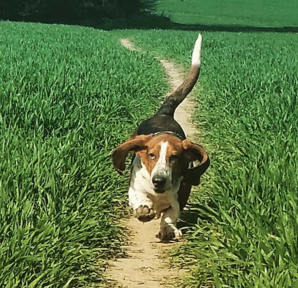 JTCHANGINGBIZ's tweet image. She will be pleased - well done!  It's such a great fundraising idea I'm putting it in the #FundraisingBank  ❤
fundraising.co.uk/2019/06/11/for…