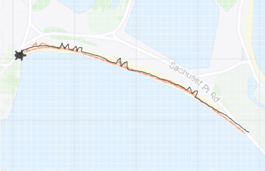 Elizabeth Lloyd tweet media