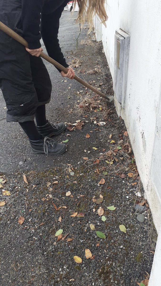 La vidéo en direct du chantier comme tout les jeudis matin avec les lutins de Pau.
#letravailcestlasantetoutca #jeunes #inclusion #precarite #tapaj #Pau <a href="/Ville_Pau/">Pau, Capitale Humaine</a>,  @TAPAJFrance <a href="/Mission/">bob & the mission</a> Locale Pau <a href="/LaRepDpyrenees/">La Rép des Pyrénées</a>