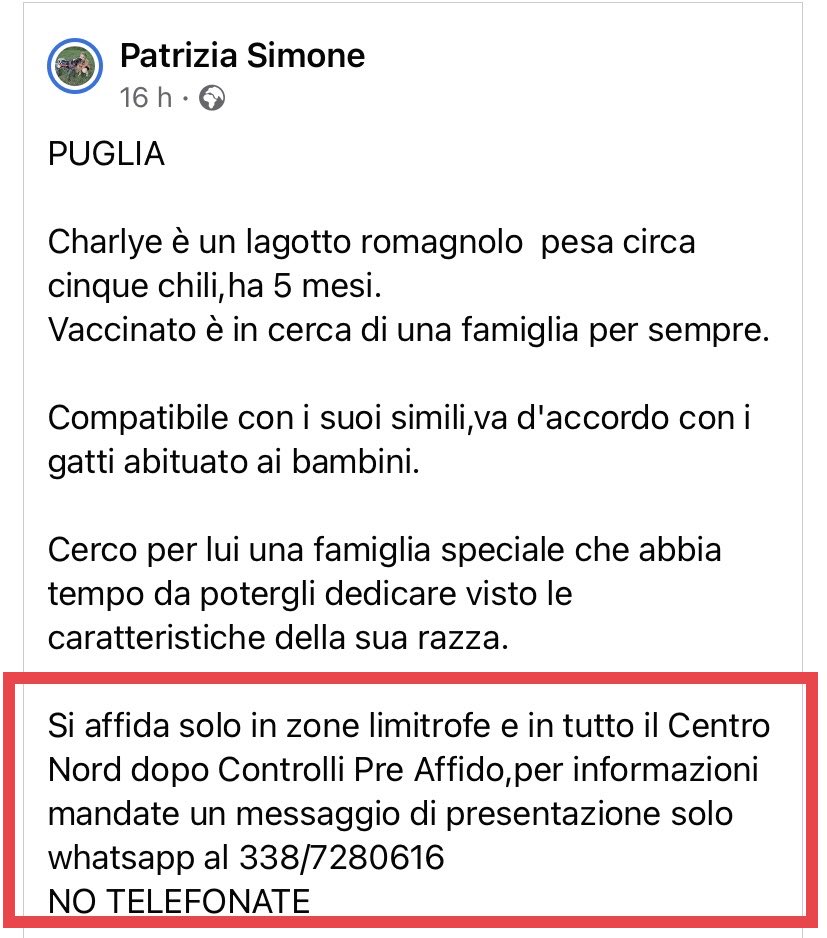 pattyfra1's tweet photo. PATRIZIA SIMONE 
- Puglia
💙CHARLYE 💙CERCA CASA🏡
5 mesi kg 5 ca lagotto romagnolo
Buono e socievole
➡️INFO SOLO SMS WHATSAPP al 338.7280.626 🙏
🆘Chiamate per questo delizioso cagnolino, diamogli una casa 🏡 🆘
#charlye #SosCuccioli 
➡️INFO NEL BOX⤵️ https://t.co/iyxDA8PWiO
