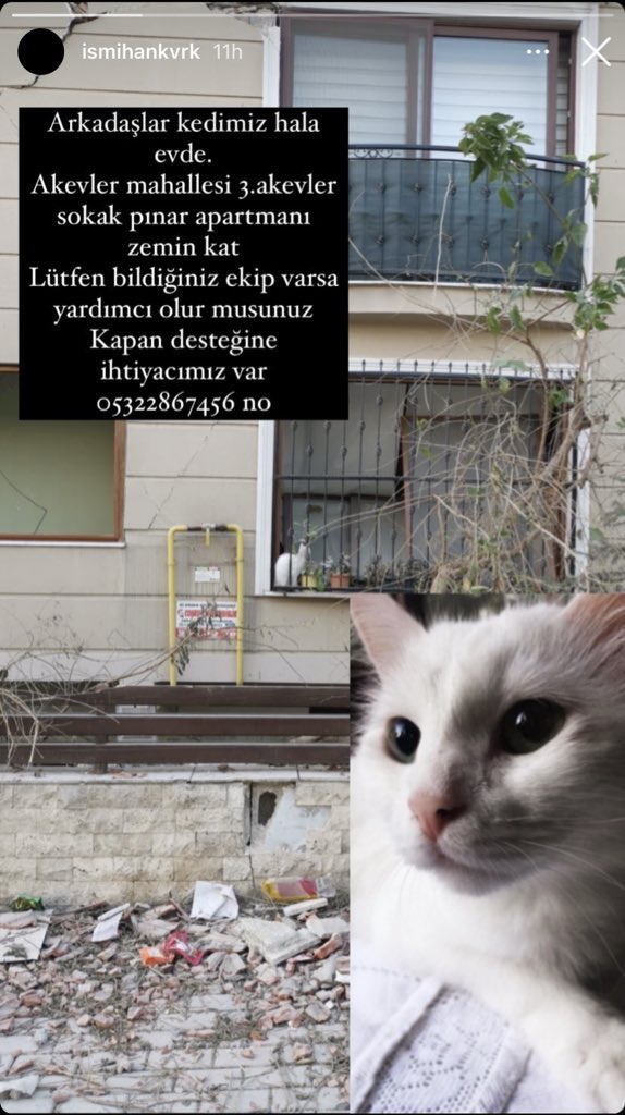 İsmihan günlerdir kedisini kurtarmaya çalışıyor. Kedi evde.

Akevler mahallesi 3. akevler sokak pınar apartmanı zemin kat 0532 286 74 56

İletişim: @iswebsterr