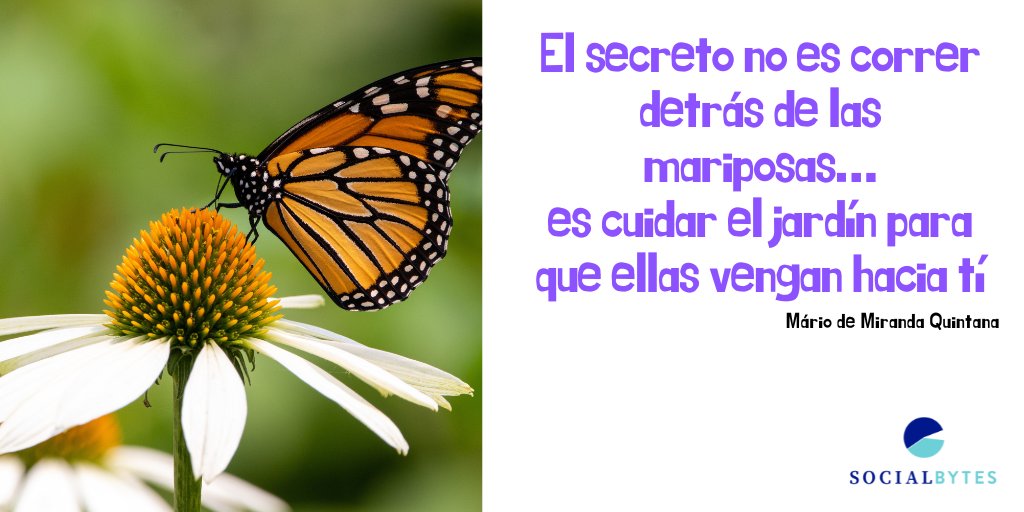 PSocialbytes's tweet image. Venid a mí! 😃🌟

#ProyectoSocialbytes #CambiaTuVida #FraseDelDia #LosConsejosDeTuHada