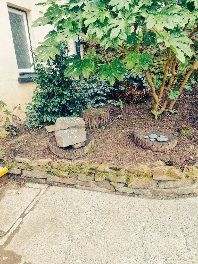 #wbcc pebble pet farm has officially opened! We expect to see our "pebble pets" mutliply throughout the year with our weekly pebble painting workshops....we will keep you updated!