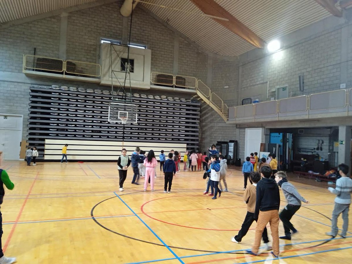 ISFWaterloo's tweet photo. In the gym by 8:45, the children have been enjoying an aerobic session for 10 minutes every day before heading to class! Starting every day with a fresh mind. 🔥
#isftervuren #jumpstart #jumpstartchallenge #schoolwithamission #schoolofvalues #internationalschool https://t.co/sJottoRfMF