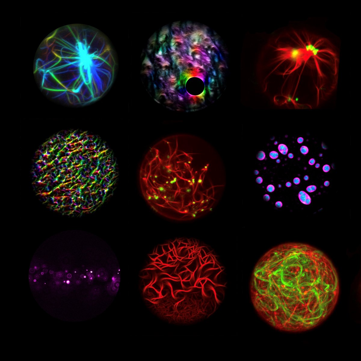 MIAPbP is back from its winter break, and the first program of 2023, "Interacting Supernovae", has almost come to an end. We are now looking forward to March 13, when chemists, biophysicists and theoretical phycisits from around the globe will join us: munich-iapbp.de/engineering-li…