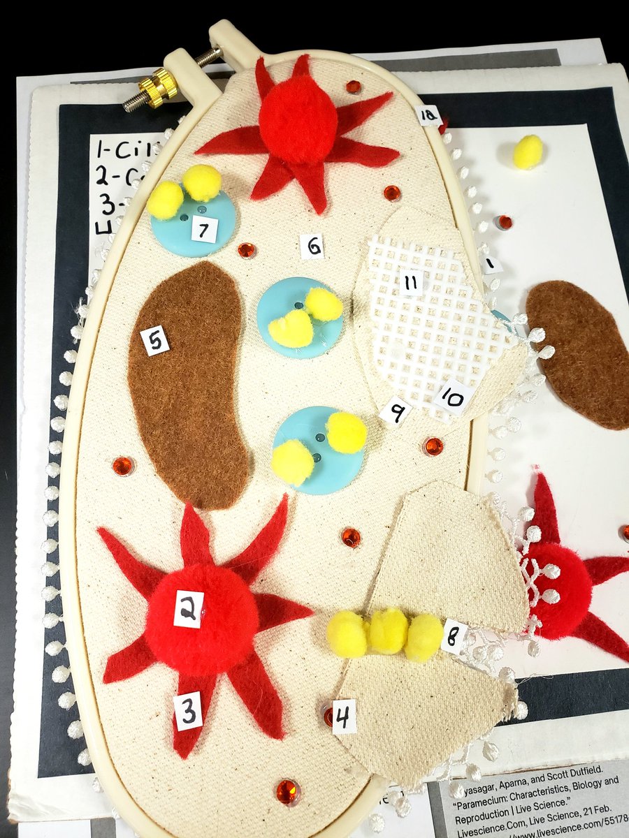 JCostello_GNGap's tweet image. I am unapologetically excited for the GNGHS Cell Symposium on Monday in our Bio classrooms, and due to that, had to share some of these homemade cellular models that will be part of the event with Twitterverse. Come on, how cool are these? #goscience #gopatriots