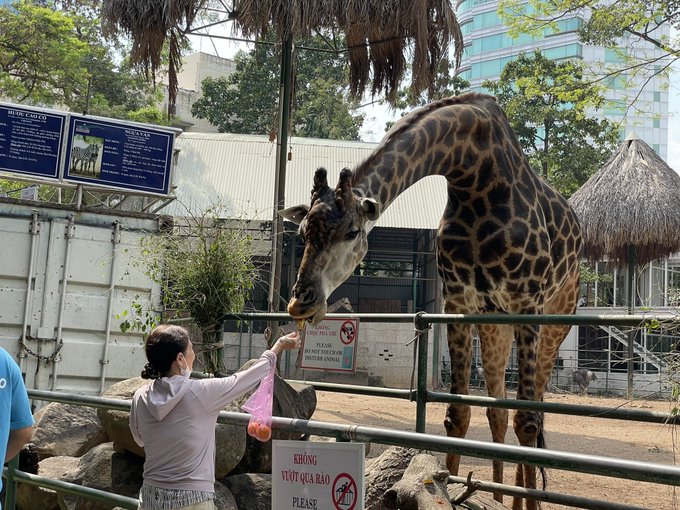 動物達もいます 