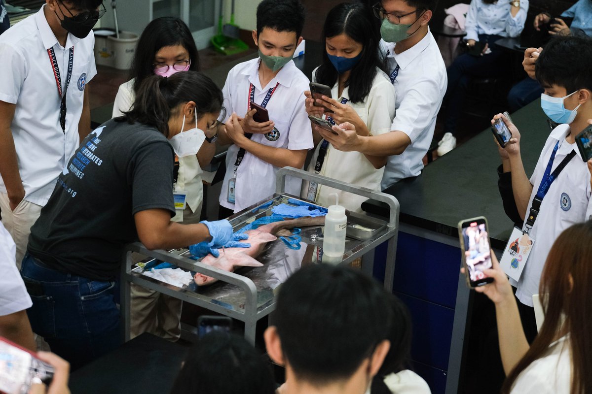 Save Philippine Seas tweet media