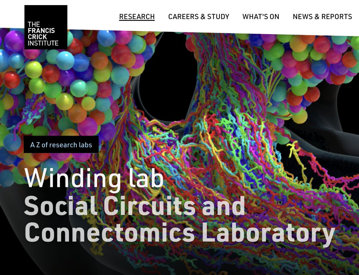 I am starting my own research group at <a href="/TheCrick/">The Francis Crick Institute</a> Institute in London! We will be investigating how neuronal circuits in the brain drive social interactions between animals. 

I have an immediate opening for a PhD student, apply by 22 March!
crick.ac.uk/research/labs/…
