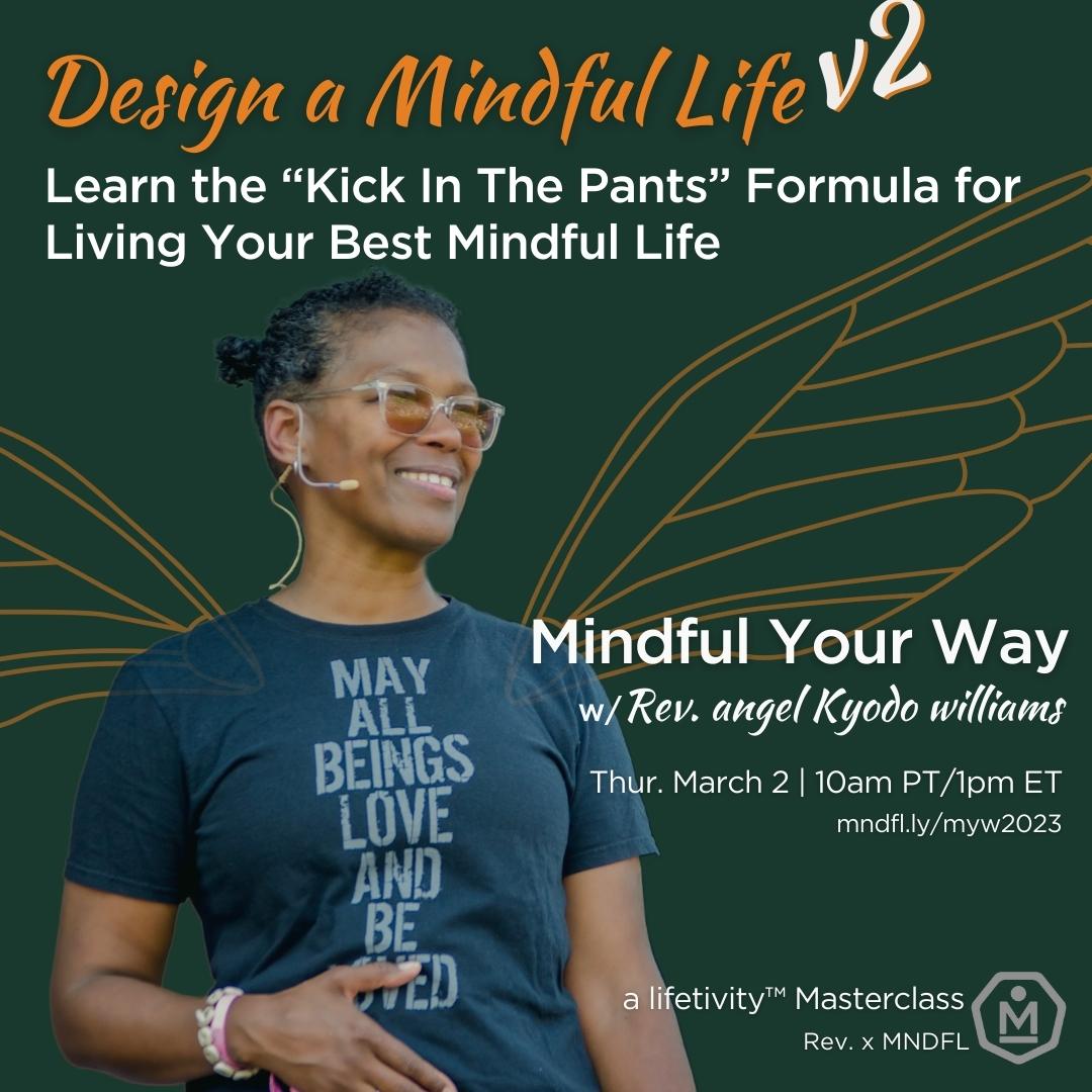TODAY: Get The Kick In The Pant You Need 

Mindful Your Way v2 Masterclass 

Thurs. March 2nd - 10amPT / 1pm ET

 mailchi.mp/mndflmeditatio…