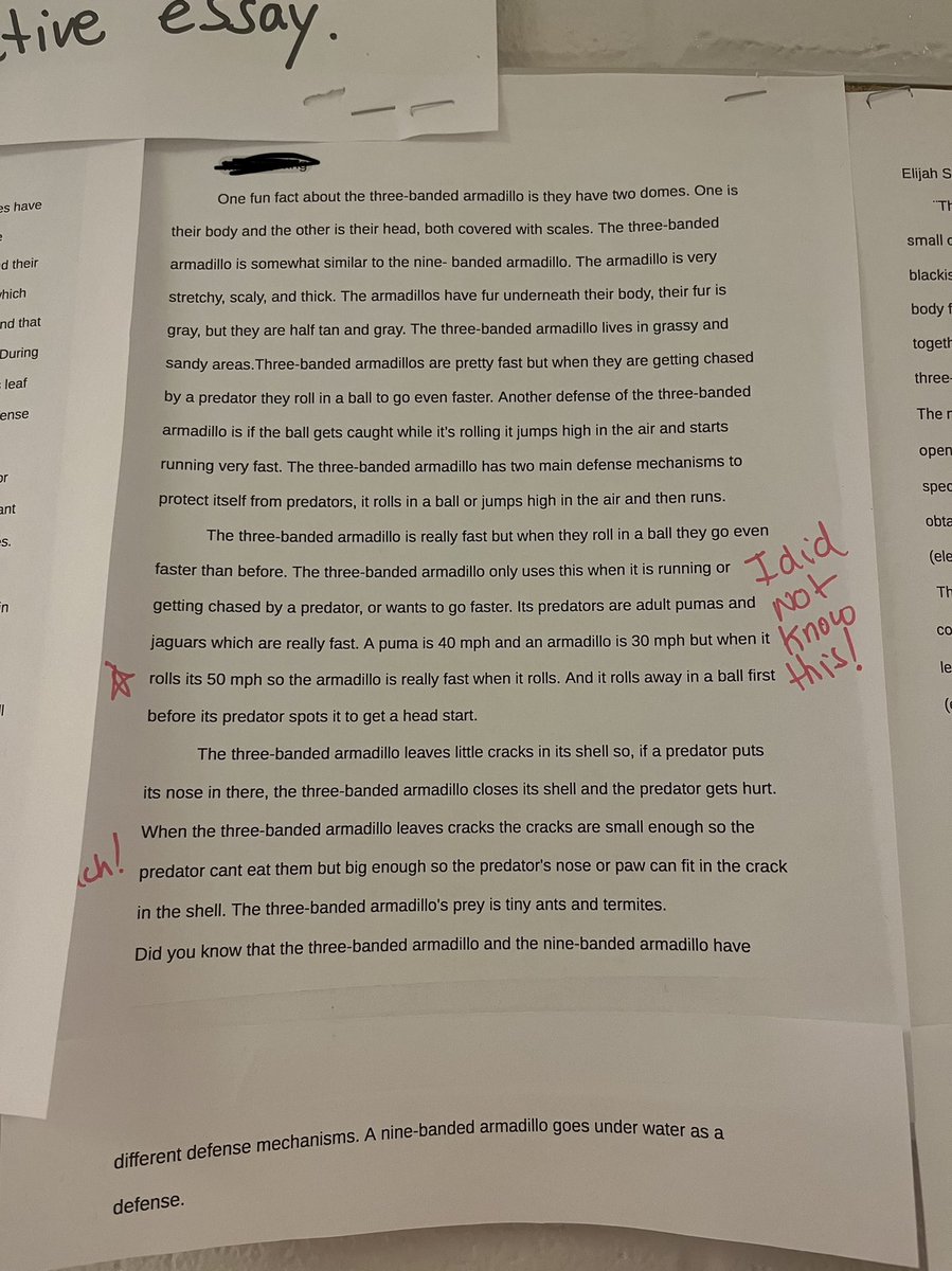 Amy Danino - BFES Literacy Coach (@amydanino) on Twitter photo I am so impressed by the writing of our 4th and 5th graders. (This is some writing from Module 2, but it’s hanging up on the wall, and couldn’t resist taking a couple pictures!) <a href="/BreckFrankES/">Breck-Frank Bullfrogs</a> <a href="/ELeducation/">EL Education</a> <a href="/JcpsElemEla/">JCPS Elementary ELA</a> I am so impressed by the writing of our 4th and 5th graders. (This is some writing from Module 2, but it’s hanging up on the wall, and couldn’t resist taking a couple pictures!) <a href="/BreckFrankES/">Breck-Frank Bullfrogs</a> <a href="/ELeducation/">EL Education</a> <a href="/JcpsElemEla/">JCPS Elementary ELA</a>