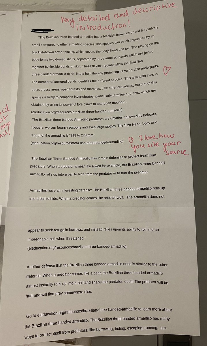 Amy Danino - BFES Literacy Coach tweet media
