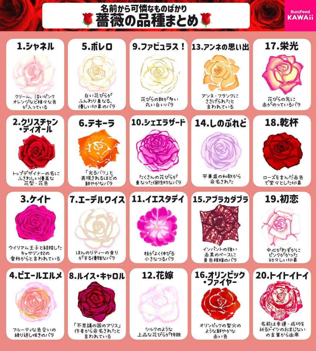 名前もすごく素敵！いろいろな「バラの品種」のとっても分かりやすいまとめ！