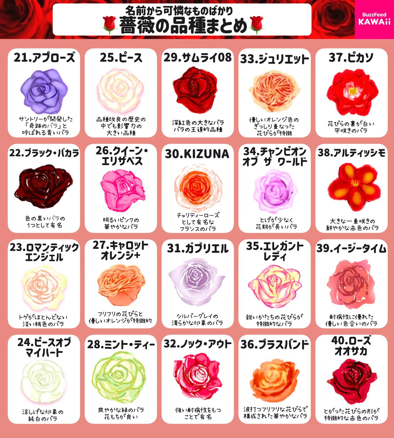 名前もすごく素敵！いろいろな「バラの品種」のとっても分かりやすいまとめ！