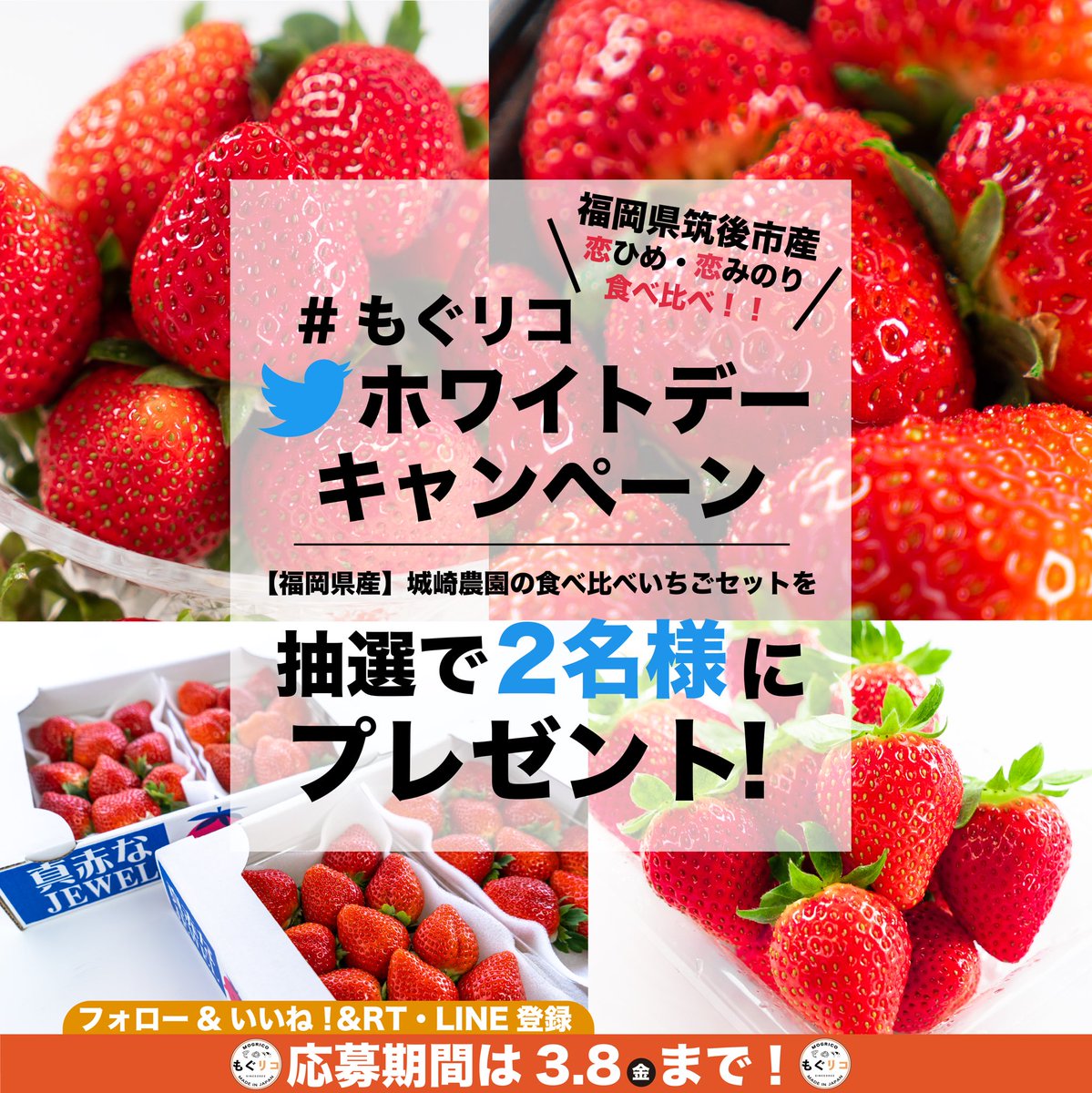 mogrico_japan's tweet photo. もぐリコです！
お世話になっている皆様にホワイトデープレゼントキャンペーンを実施いたします🥰

プレゼント商品🎁
城崎農園👩‍🌾
恋ひめいちご・恋みのりいちご食べ比べセット🍓
応募方法はコメントにて↓
必ずチェックしてくださいね(^^)/
#プレゼント
#キャンぺーン 
#プレゼント企画 
#いちご
#懸賞 https://t.co/Y9DV8300UH