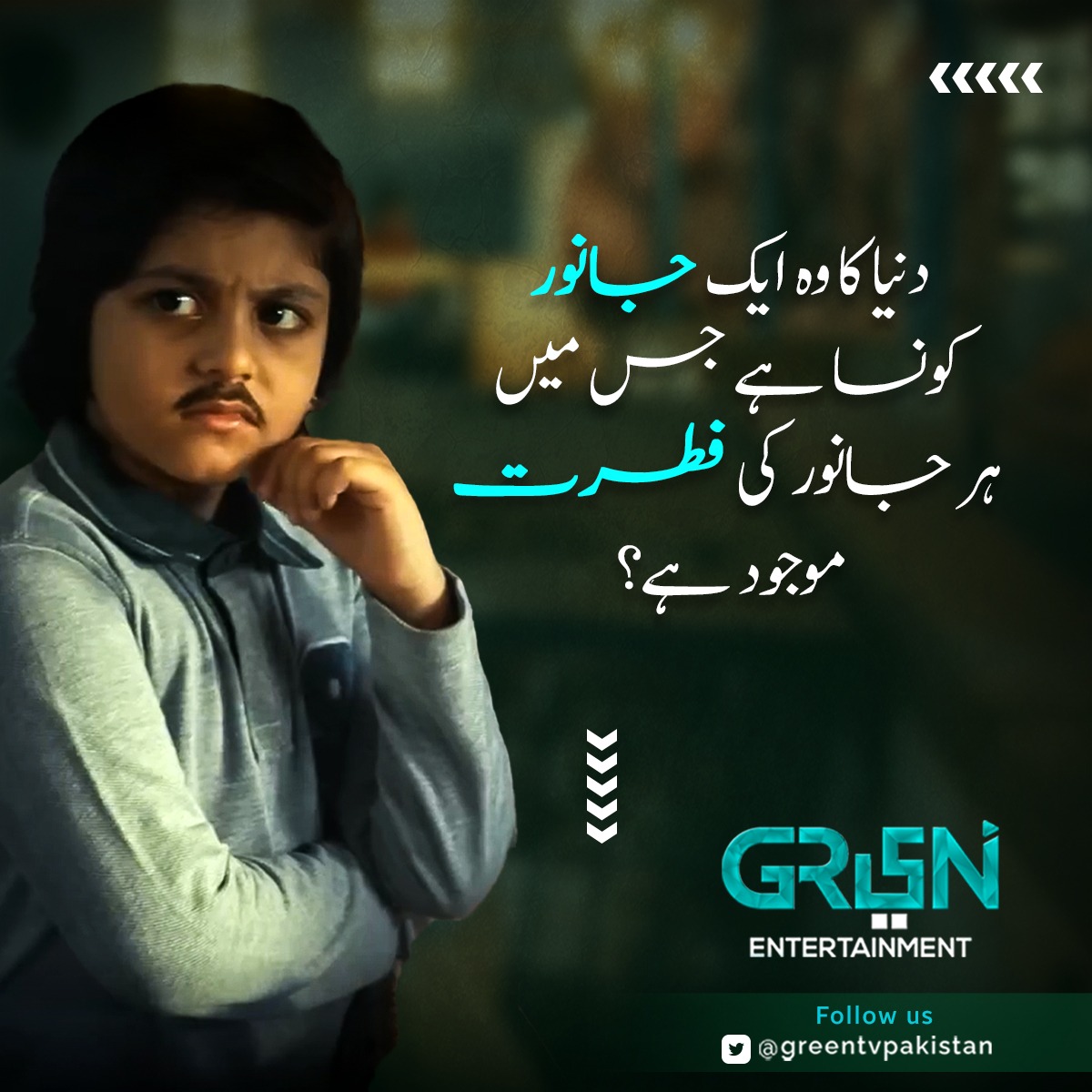 Green TV Entertainment tweet media