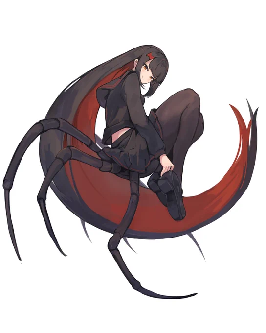 セアカゴケグモさん 