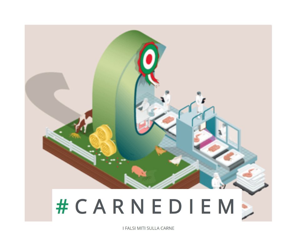 SostenCarni's tweet photo. 🇮🇹Le #CarniItaliane sono #buone perché #prodotte con le nostre razze, #foraggi e mangimi; #sicure grazie al lavoro di #veterinari e #agronomi e per l’attenzione degli #allevatori al #BenessereAnimale ❤️🩹
Scopri di più nell’infografica #CarneDiem 👇🏼
https://t.co/aASrRh8hJ9 https://t.co/oScvO86doW