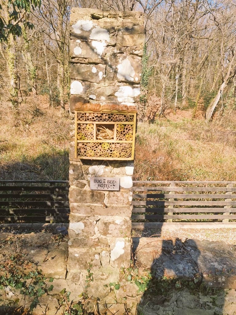 Hoping for full occupancy this year at our "bug and bee hotels" around resort. All made using sustainable materials and "welcoming home" the local wildlife #wbcc #GoGreen