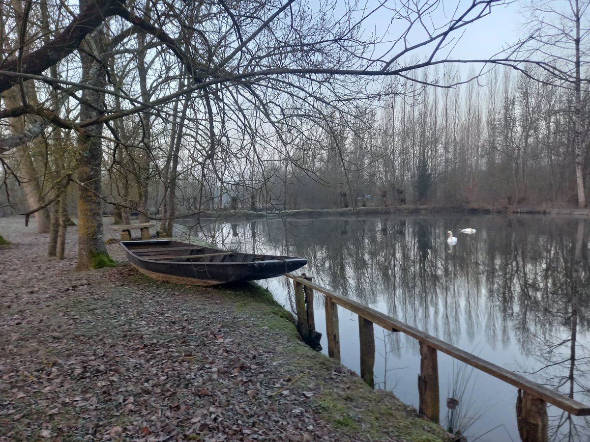 ElevyneP's tweet photo. @AlainHanel @Sabine2577 Ca vous change de votre vue sur la mer
Je suis retournée voir les cygnes tôt ce matin
Merci pour votre indulgence https://t.co/MrnS5BZ1BY