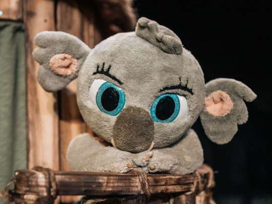 ttp_cat's tweet photo. La #FAMÍLIATTP està a @FETEN_Gijon amb els seus espectacles. Fins ara, han actuat:

1️⃣El 28 de febrer:
- "Bunji, la pequeña koala" de @FESTUCteatre 
- "Un traje nuevo para el Emperador" de @laperallimonera https://t.co/vMyjRsJB0q