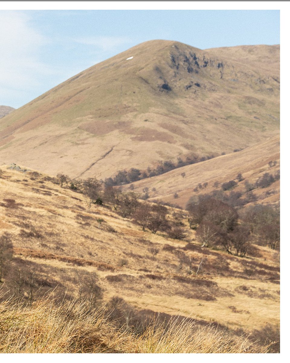 Chris Terry (@christerryphoto) on Twitter photo Bumped into <a href="/SamHeughan/">Sam Heughan</a> in the hills above Loch Lomond. Nice bloke.
<a href="/radarbooks/">radarbooks</a>
<a href="/VisitScotland/">VisitScotland</a> Bumped into <a href="/SamHeughan/">Sam Heughan</a> in the hills above Loch Lomond. Nice bloke.
<a href="/radarbooks/">radarbooks</a>
<a href="/VisitScotland/">VisitScotland</a>