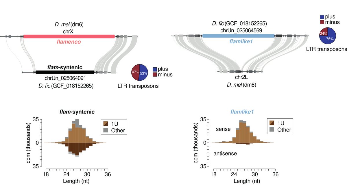 Susanne Bornelöv tweet media