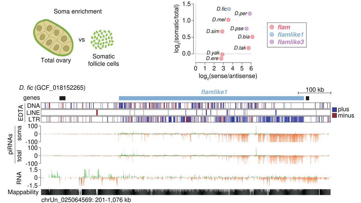 Susanne Bornelöv tweet media