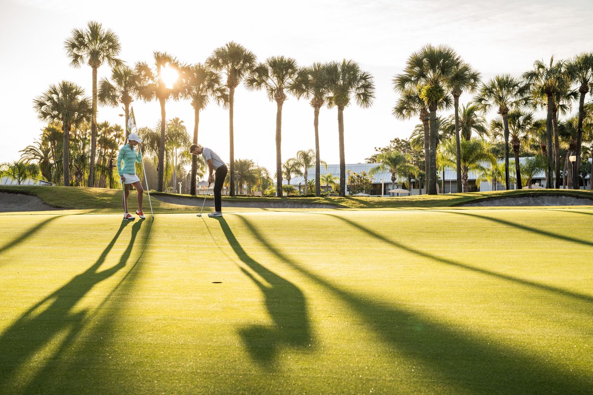 Saddlebrook Golf
Architect : Arnold Palmer - Distance : 6480 yds
Number of holes : 18 - Par : 70
USA - Florida

A Golfing Experience Golf Travel specialists Since 1989
Contact our agents for your reservation
admin@agolfingexperience.com or call 01494 875164
#USAgolf