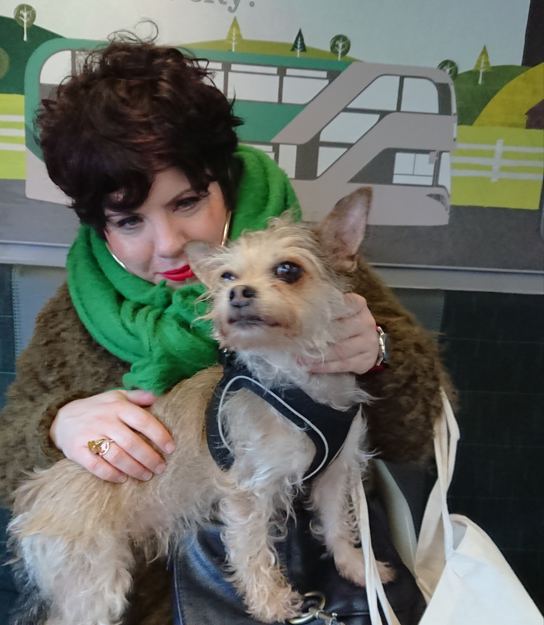 Transport_Nottm's tweet photo. Dogs can travel around the Nottingham all day for just ยฃ1 with a @NCT_buses Rover ticket!
Why not send us pic of your pawfect passenger #DogsOnBuses #PublicTransportPooches https://t.co/gpdVOAOLyQ