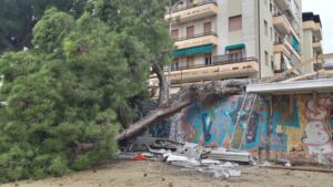 cittasbt's tweet image. #Caduta del #Pino in via Moretti, si valuta la situazione delle piante
bum.comunesbt.it/2023/03/02/cad…
#ViaMoretti

Iscriviti al canale Telegram per ricevere gli aggiornamenti in tempo reale:
t.me/comunesbt