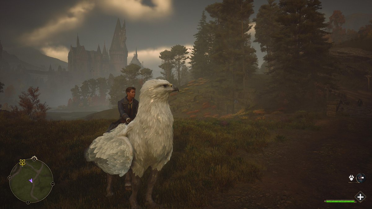 BertsEsteban's tweet photo. #PS5Share, #HogwartsLegacy https://t.co/2MI6A0TiL3