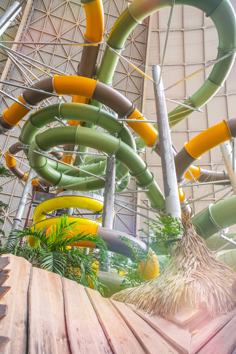 Tropical Islands tweet media