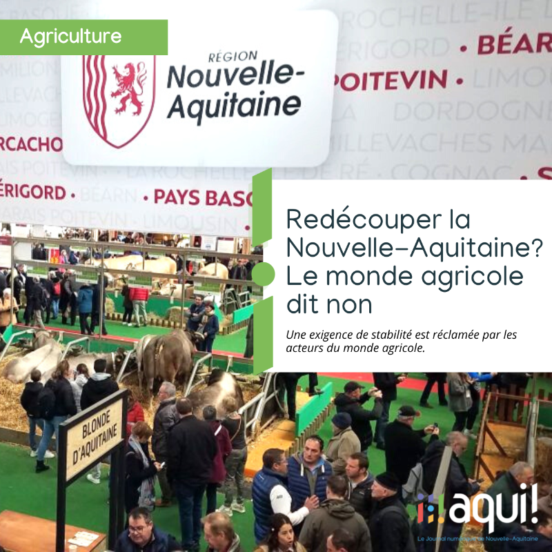 aqui_fr's tweet photo. Face au redécoupage de la @NvelleAquitaine auquel @EmmanuelMacron dit penser, c'est d'abord une exigence de stabilité que réclament les acteurs du monde #agricole, loin d'être emballés par l'idée.
@al_rousset @Salondelagri #SIA2023