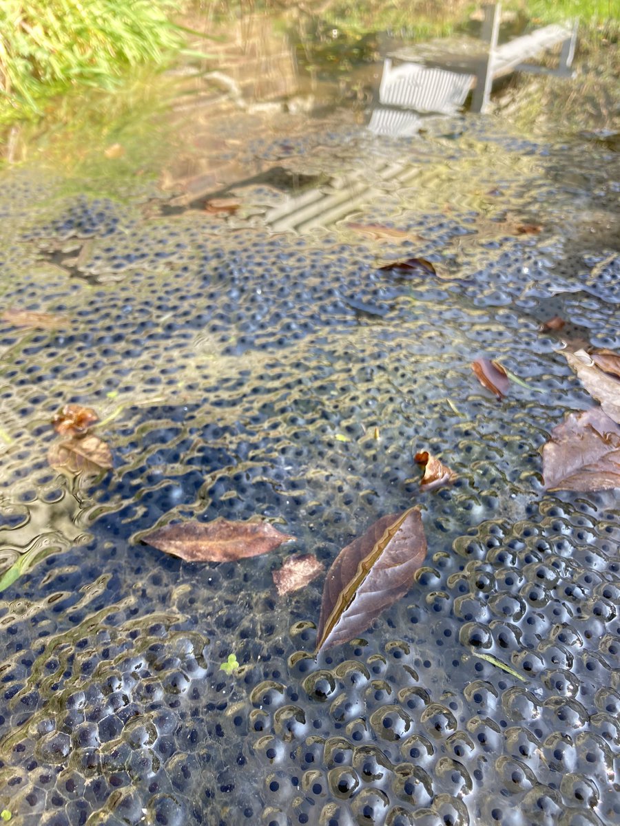 Kate Bradbury 🏳️🌈 tweet media