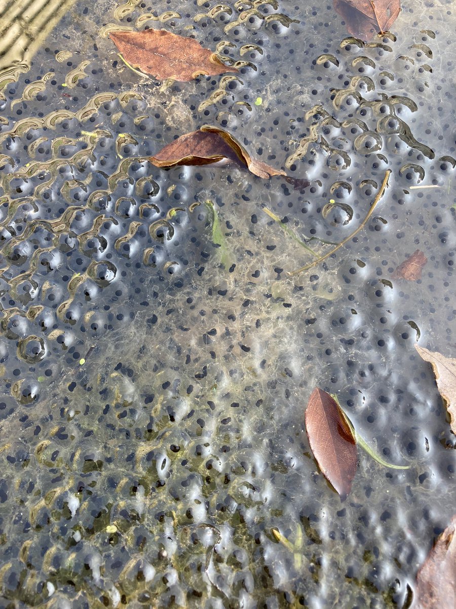 Kate Bradbury 🏳️🌈 tweet media