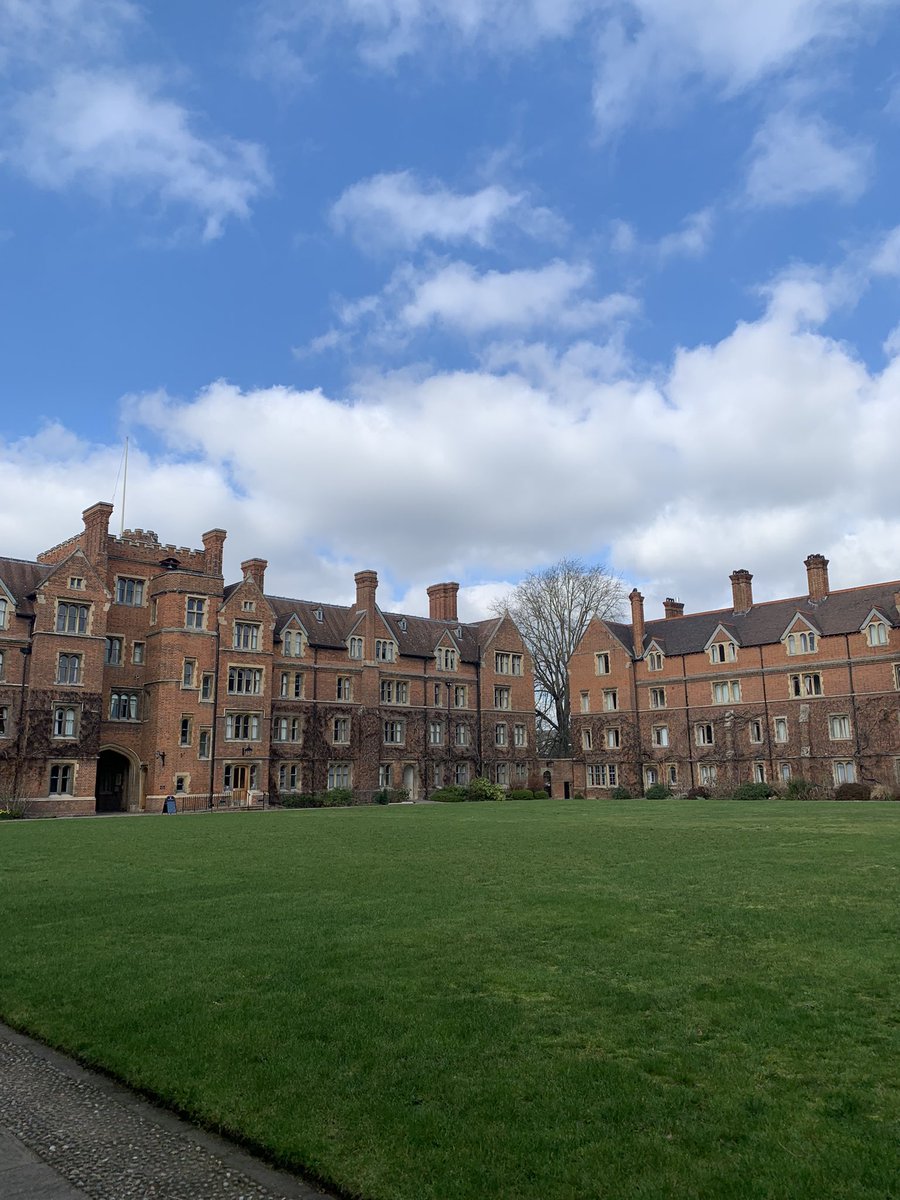 The King's School tweet media