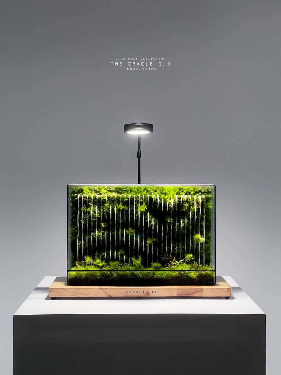 terra_living's tweet image. &quot;The Oracle 2.0 - Live Moss Collection&quot;, desktop-sized parametric living moss wall supported by 3D-printed structure.

#terraliving #moss #oracle2 #parametric #livemoss #botanicalart #parametricart #terrarium #parametriclivingmosswall #desktoplivingmosswall #minimalist #calming