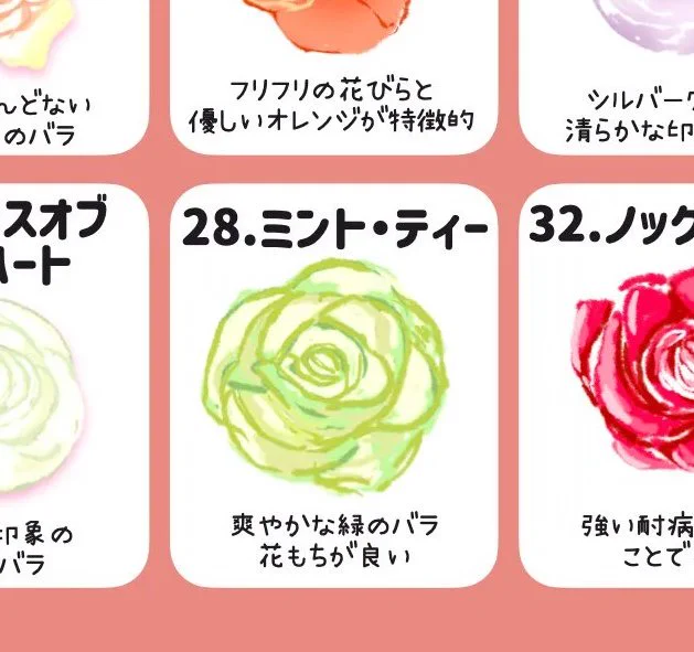 @BuzzFeedKawaii 1個キャベツ交じってるかと思った
素敵な薔薇だった🌹 