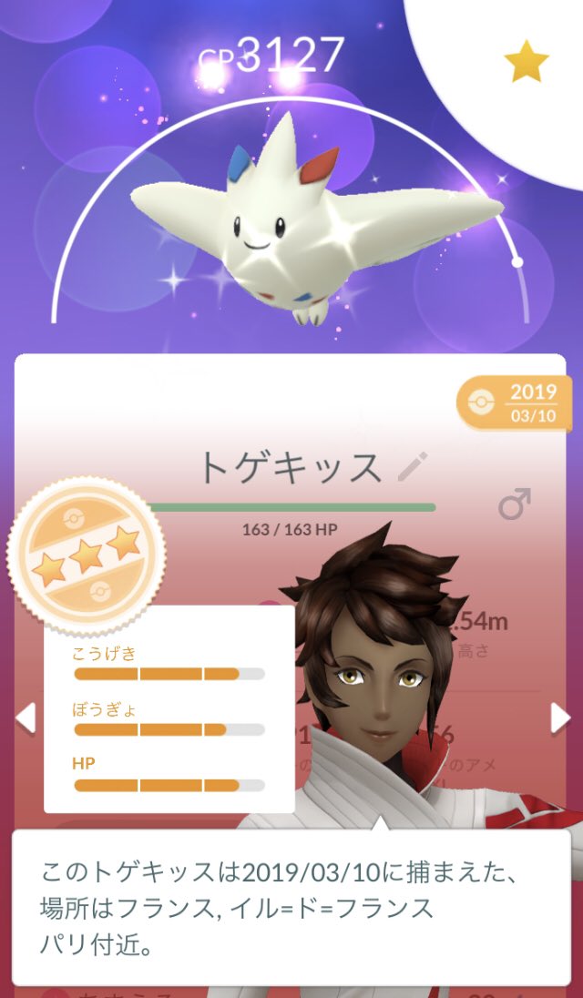 ポケモンサン 色ヘラクロス、色トゲキッス、色ハッサムリボンコンプ