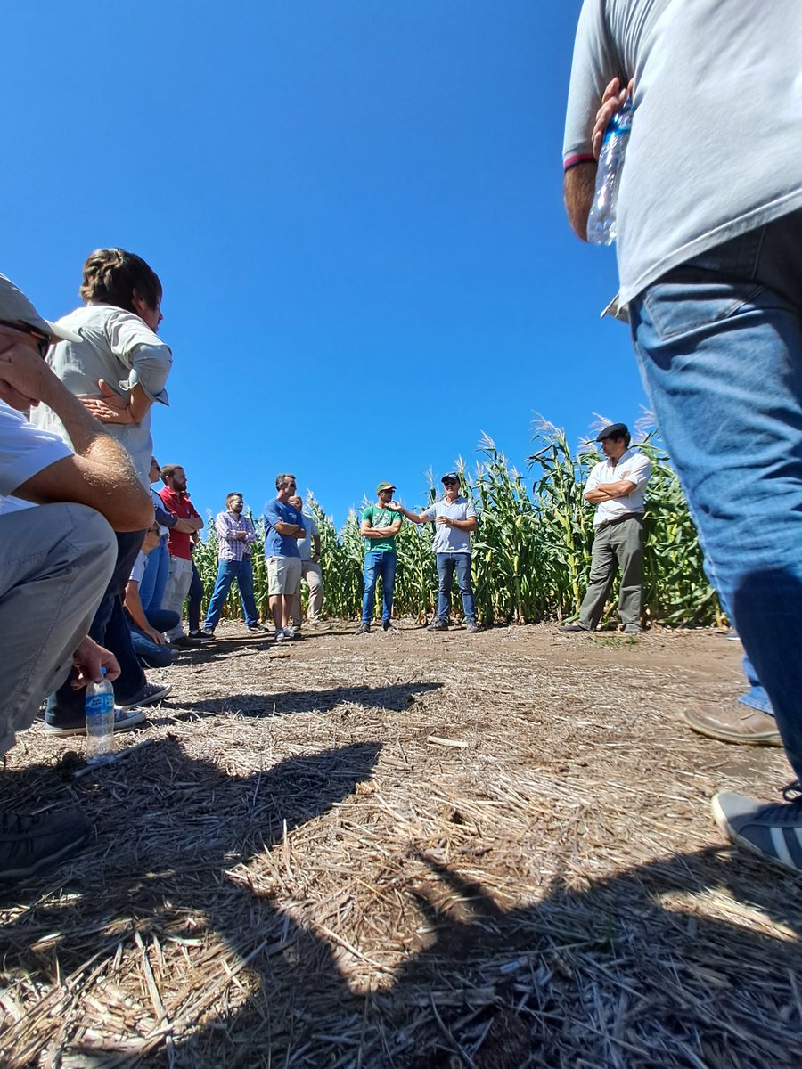 CTB región sur 📍🚀
Reunión anual de repaso de propuesta de valor de @Bayer4CropsAR 
Todo el equipo del canal Innoba.
Asesores, RVs, FM <a href="/solarroquy/">Sol Arroquy</a> , químicos con <a href="/Rolobidegain/">Rolo</a> , maíz con <a href="/Rafael_Lopez_27/">Rafael Lopez</a>  y la presencia estelar de Fernando Ross y el profe <a href="/Gustavomaddonni/">Gustavo</a> 🌽